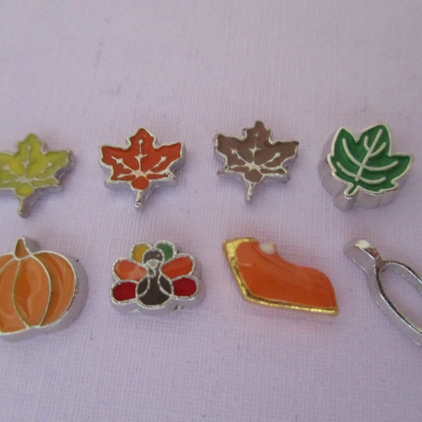 Thanksgiving and Fall Floating Charms ~ Memory Locket Charms ~ Floating Lockets