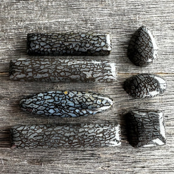 Loose Stones (Choose one): Agatized Dinosaur Bone (Custom settings also available, read description below for more information)