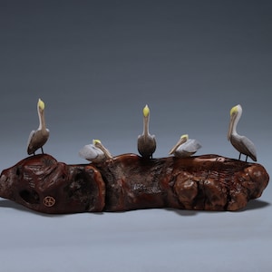 5 Pelicans Sculpture  by John Perry  9in long on burlwood Statue  Figurine Décor