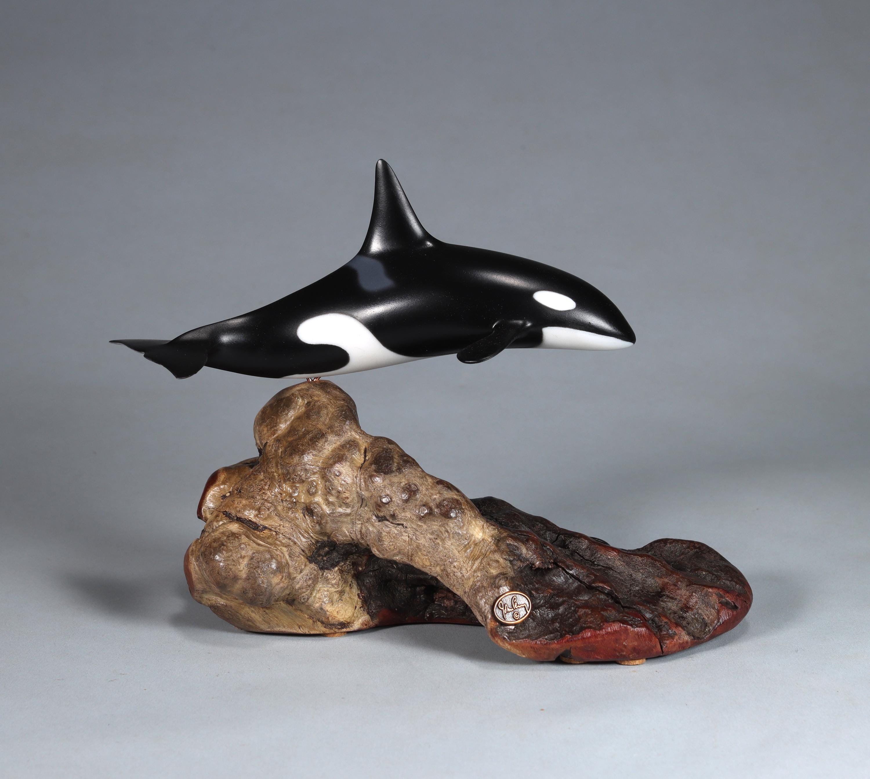 Killer Whale ORCA by John Perry 6in Long Sculpture Statue on