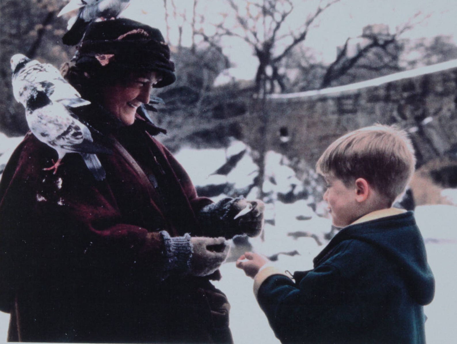 один дома кормила голубей. один дома 2 дама с голубями. один дома 2 дама с голубями. один дома 2 голубятница. один дома 2 женщина с голубями.