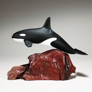 Orca Schwertwal von John Perry 31 cm lang auf poliertem Wurzelholzsockel. Signiert