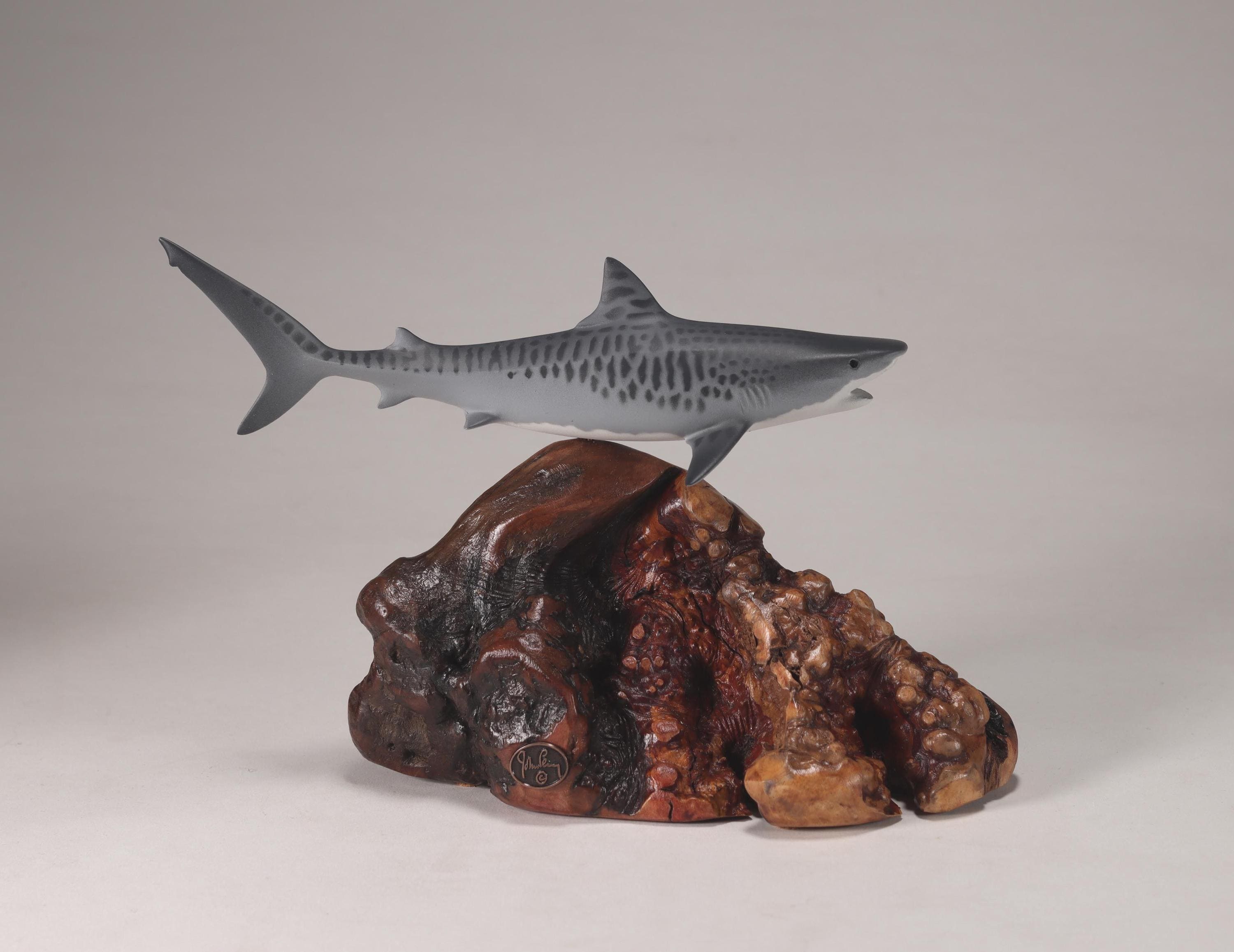 Changed tiger shark - Etsy 日本