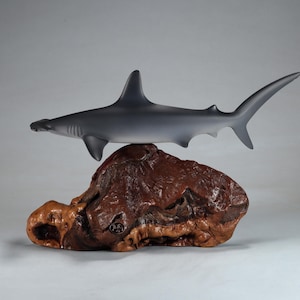 Hammerhead Shark Sculpture by John Perry  12 inches long on polished burlwood base. Signed.