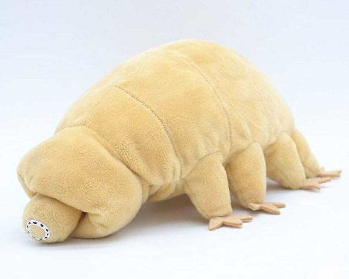 8.6 Water Bear Plush Tardigrades Science Plush Etsy