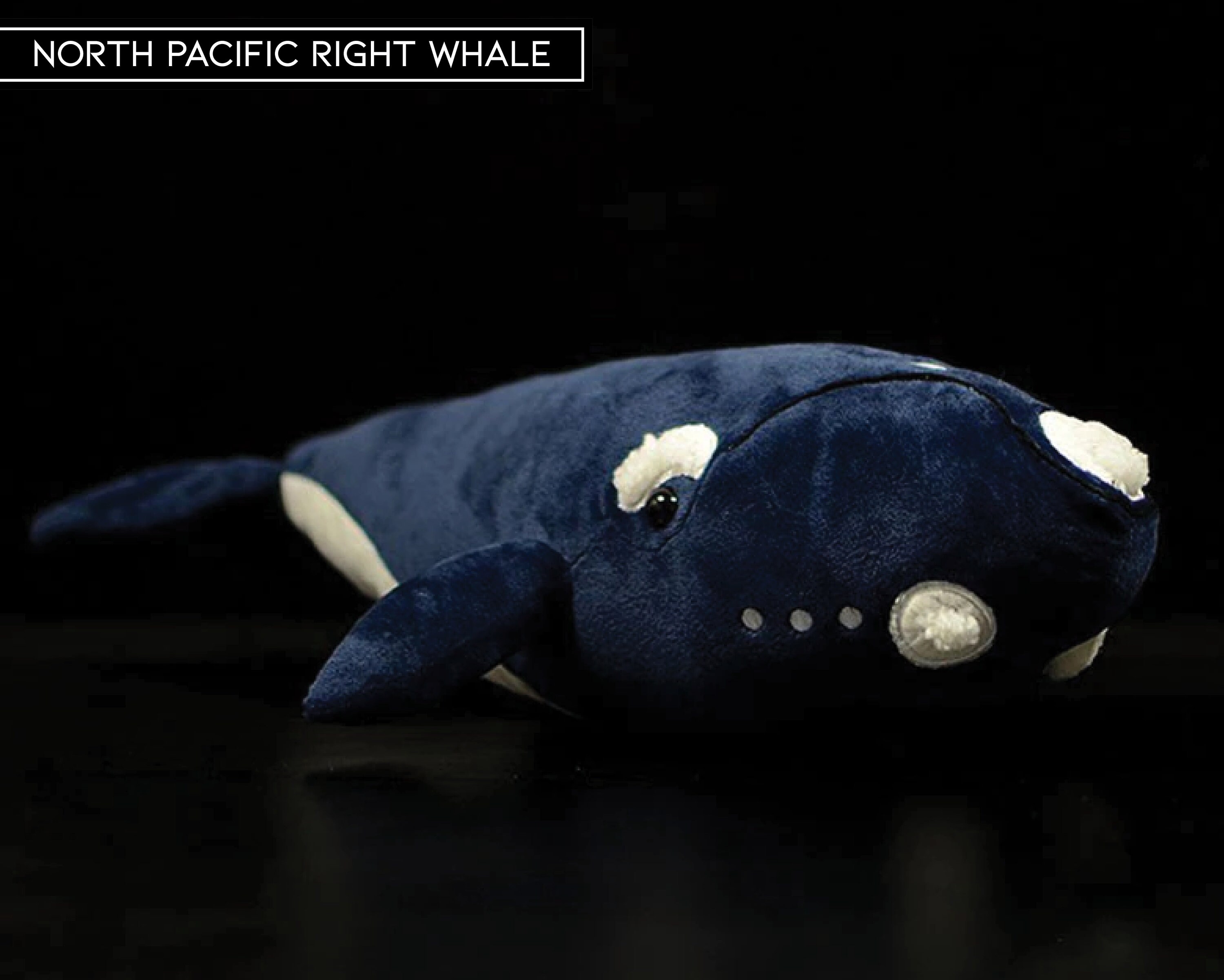 bowhead whale plush