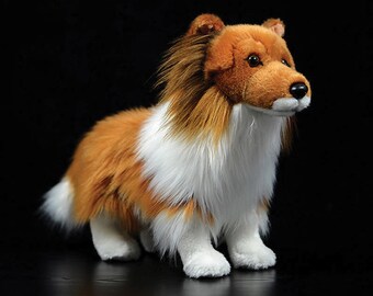 toy collie