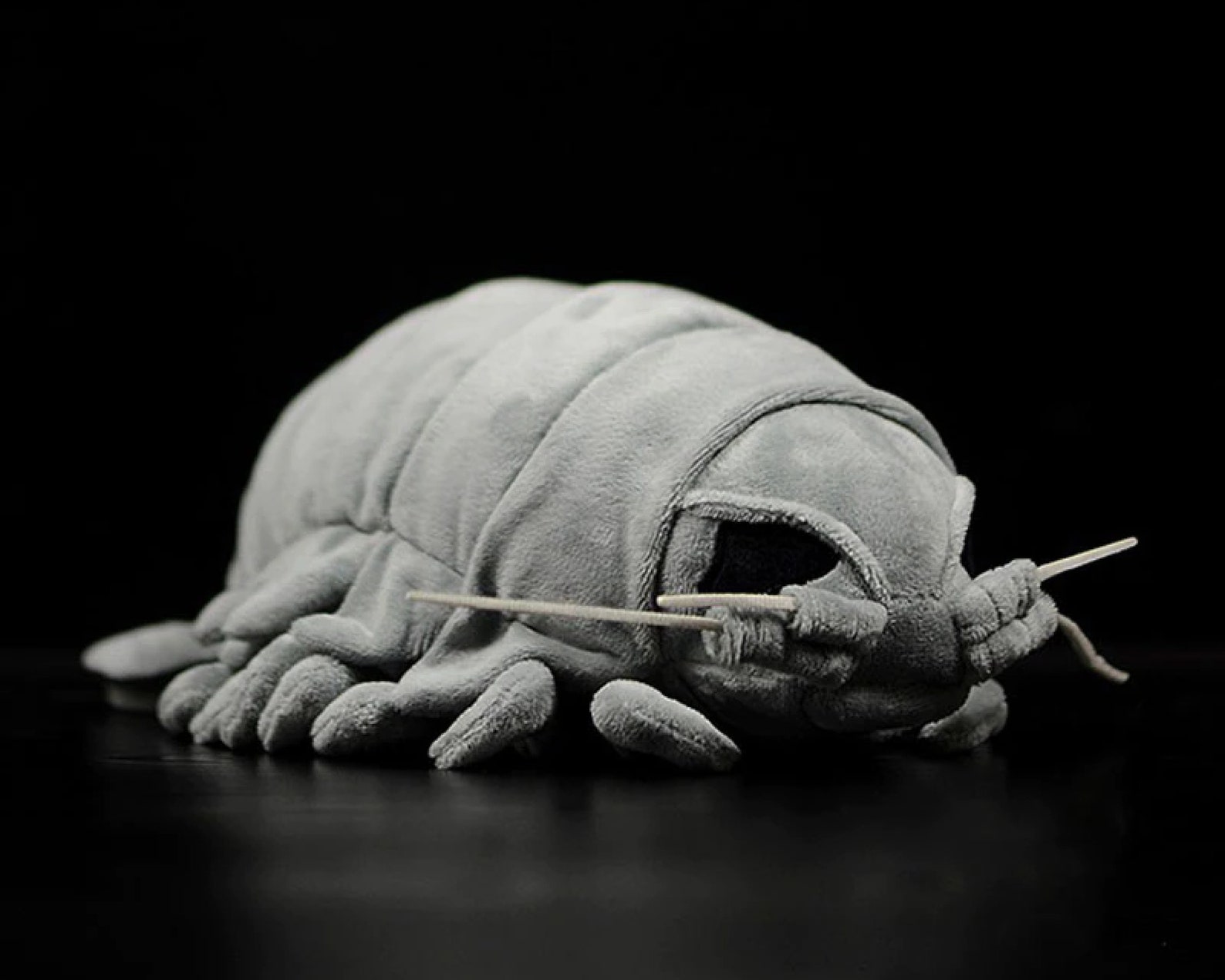 11.8 Realistic Isopod Plush Pillbug Toy | Etsy