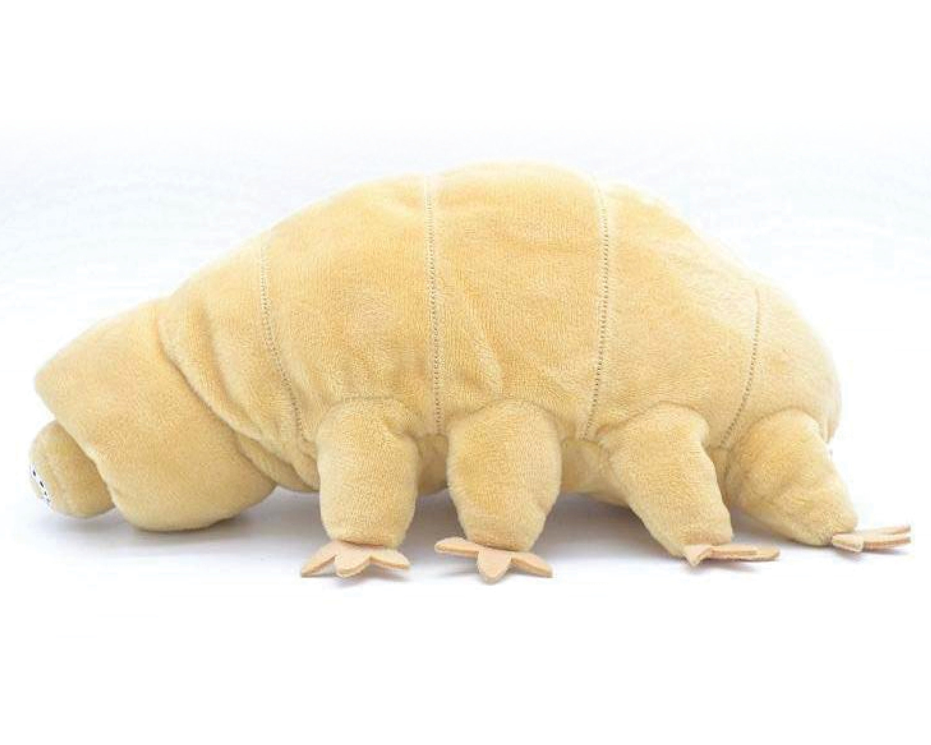 8.6 Water Bear Plush Tardigrades Science Plush Etsy