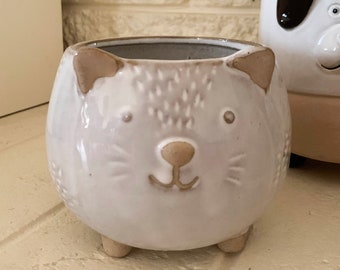 Animal Planters | Cute animal pots | dog cat planter | mouse planter pot | hedgehog planter pot | quirky indoor pots | succulent pots