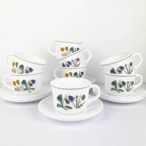 Arcopal &#39;Fleur D&#39;ete&#39; Cup and Saucer Set of 8 | French cups with thistle pattern | Arcopal collectible coffee cups