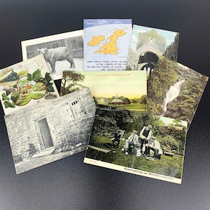 Set di 8 cartoline panoramiche del Regno Unito / cartoline da collezione / cartoline dei monumenti del Regno Unito / cartolina antica dello zoo di Londra