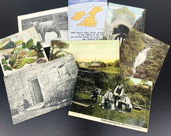 Cartões postais antigos do Reino Unido: Zoológico de Londres, Irlanda, Derbyshire (conjunto de 8)