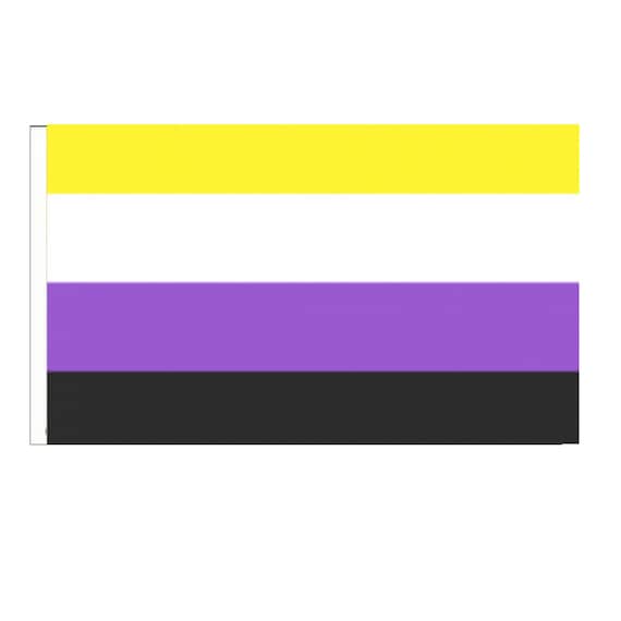 Pack Of Two Genderqueer LBGTQ Pride Sleeved Flag suitable for Boats 45cm x 30cm