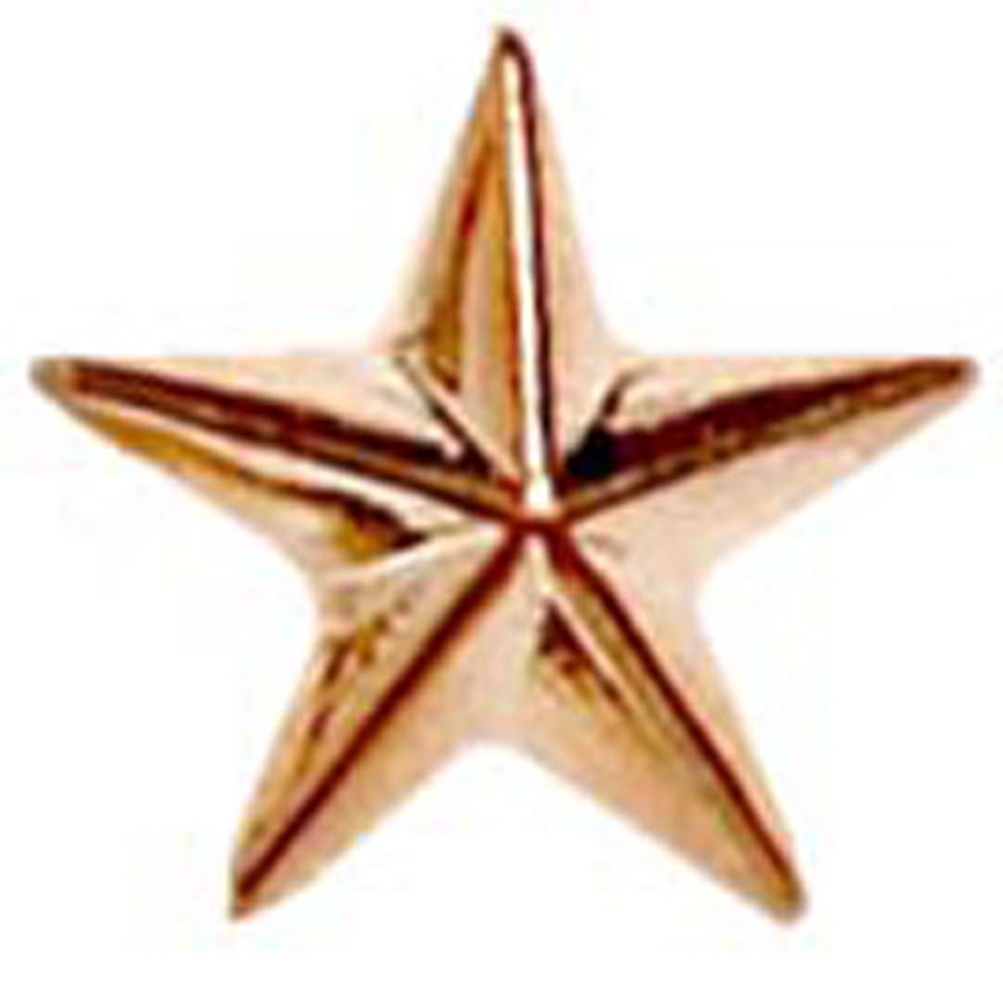 Schools Badge Raised Bronze Star School Awards Badge Size Etsy