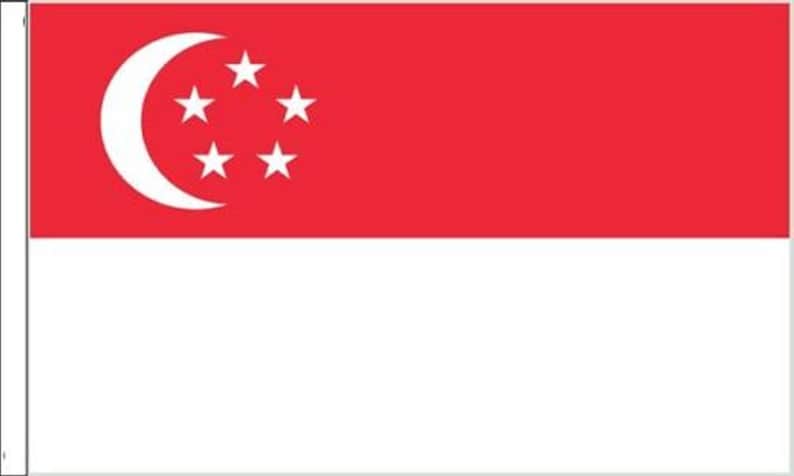 Pack Of Two Singapore Sleeved Flags suitable for Boats 45cm x 30cm