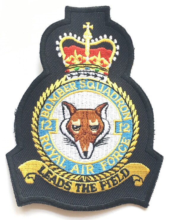12 Escadron Raf Broche Badge