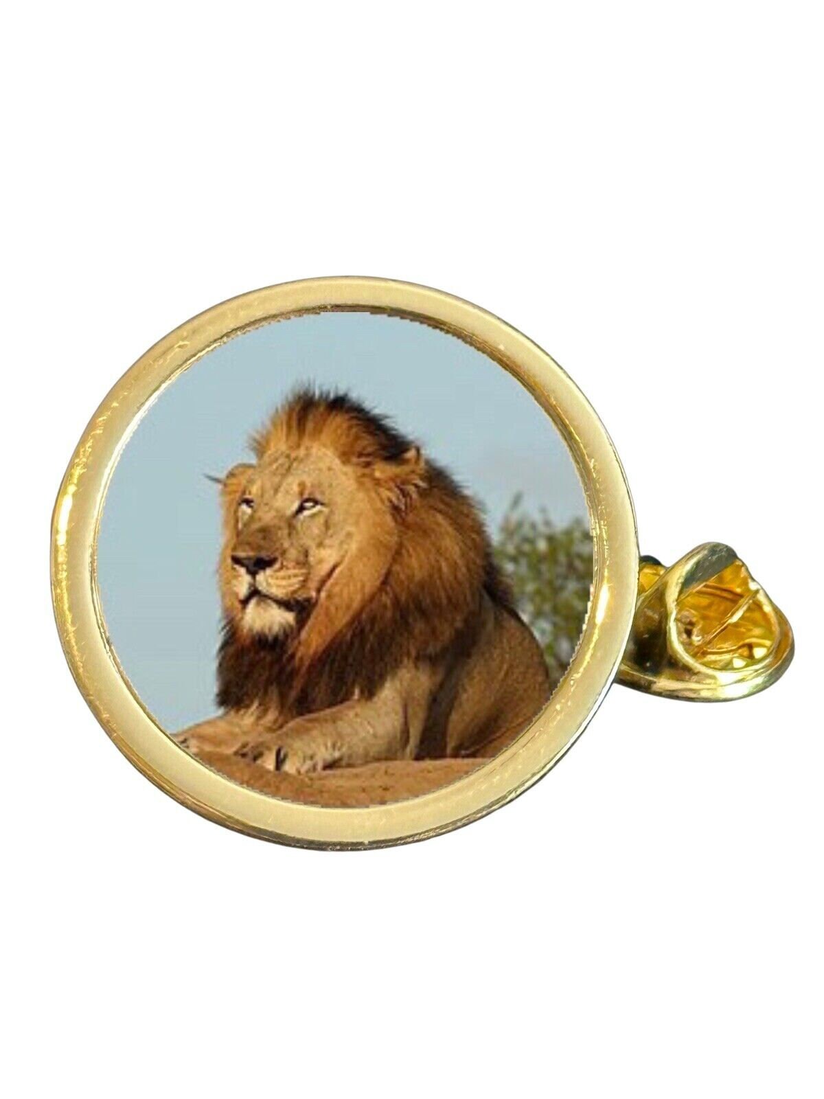 Lion Award Gold Plated Domed Lapel Pin Badge in Bag
