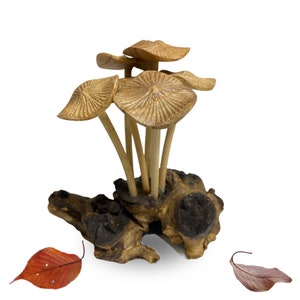 Puede incluir: Una escultura de madera de un grupo de setas que crecen de un trozo de madera flotante. Las setas son de color marrón claro y tienen una textura detallada. La madera flotante es de color marrón oscuro y tiene una textura rugosa. Hay dos hojas marrones sobre el fondo blanco.