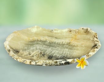 May include: A large, oval-shaped, white onyx serving bowl with a natural, rough-hewn edge. The bowl has a light brown and gray marbling pattern. A single yellow flower with white edges is resting on the rim of the bowl.