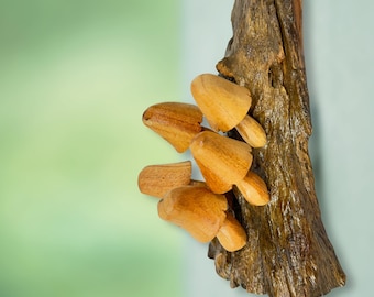 Hand Carved Wood Mushroom Sculpture: Rustic Cottage Wall Art