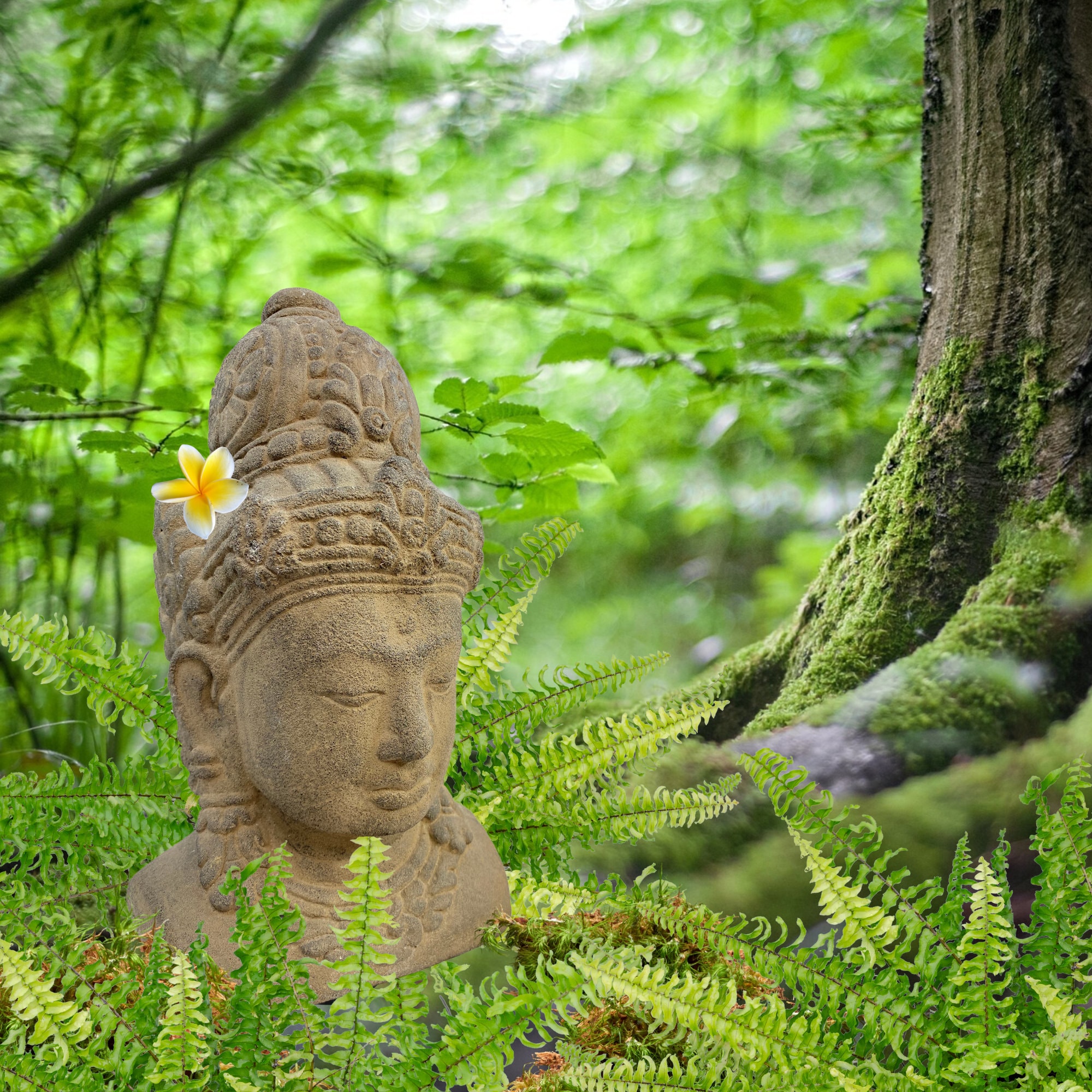 Déesse verte Dive Garden – Damytasta