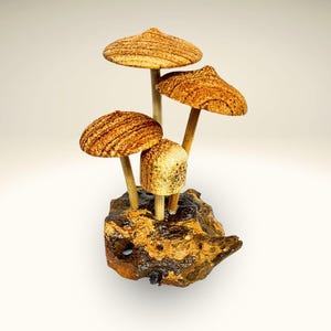 Hand Carved Magic Forest Mushroom Figurine Sculpture | Unique Parasite Wood Statue | Balinese Art Decor