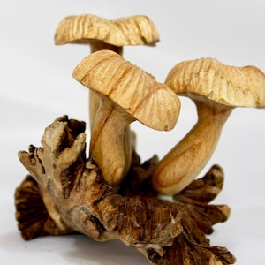 Forest Mushroom Parasite Wood carving Statue Wooden toadstool figurine Balinese Parasite wood art Hand Carved Sculpture Cottage Decor