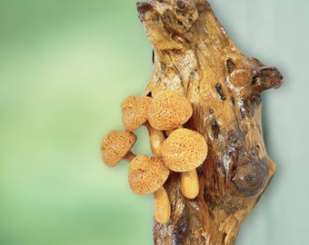 Hand Carved Mushroom Sculpture: Rustic Parasite Wood Wall Art