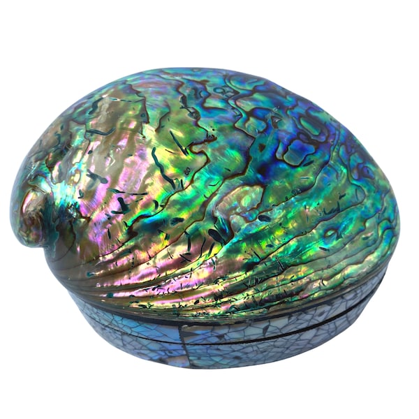 Paua Abalone Shell Seashell Box Iridescent Blue Handmade Ring Dish Jewelry Box Trinket Stash Velveteen lined Holiday Gift Box