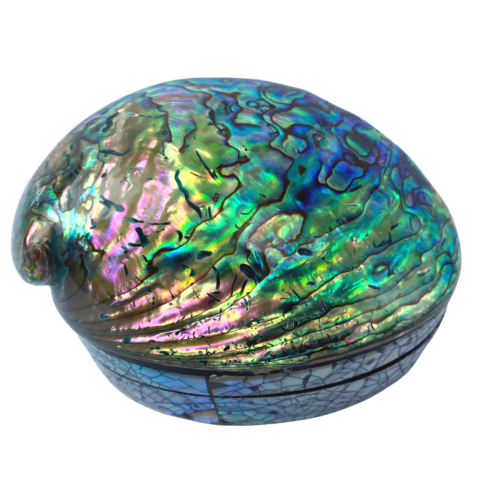 Abalone Seashell Boxes