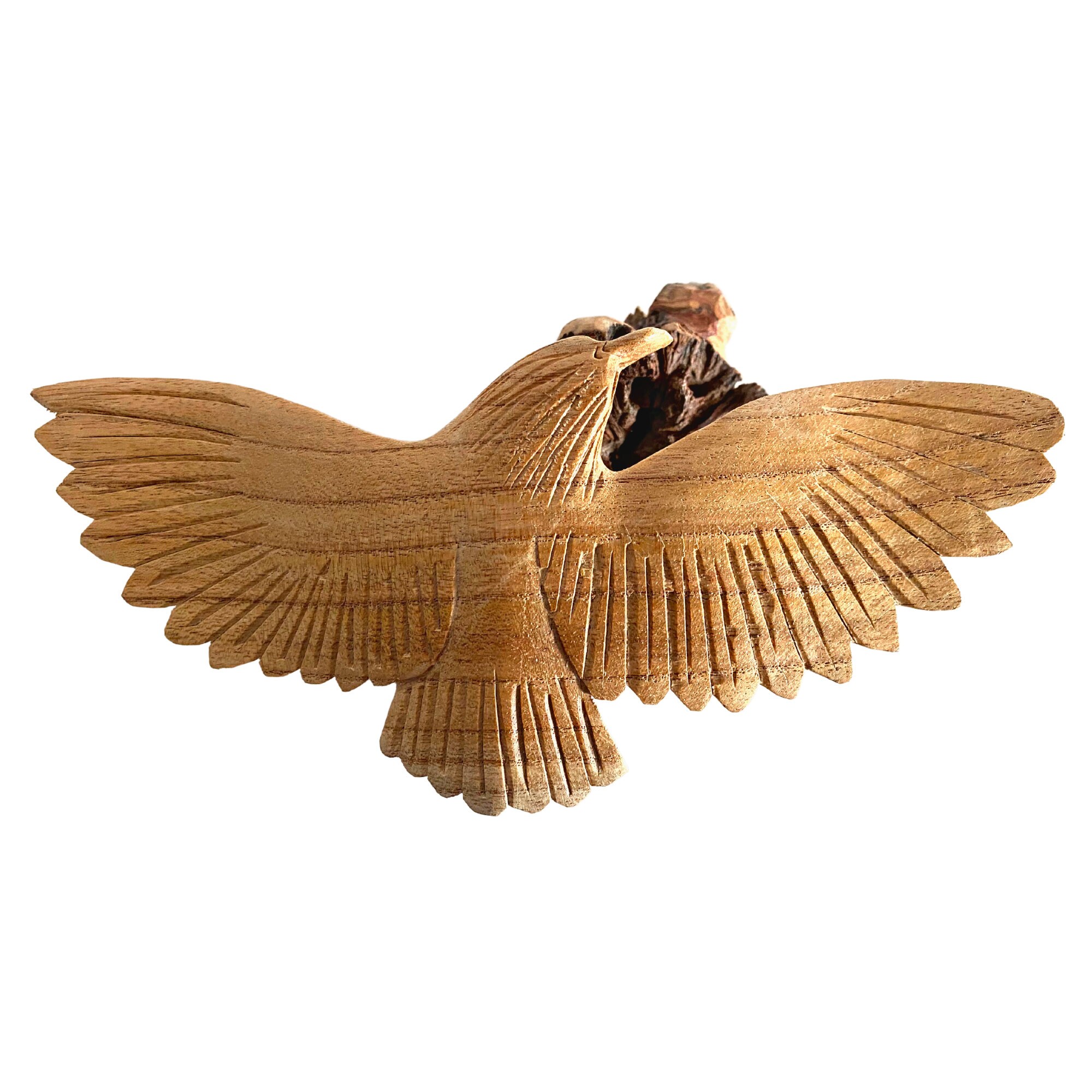 Tête d’aigle bois sculpte - Décoration