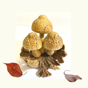 Mushroom Carving Statue | Hand Carved Fungi Sculpture for Nature Decor & Bali Forest Home Accent