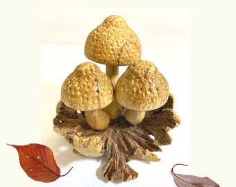Mushroom Carving Statue | Hand Carved Fungi Sculpture for Nature Decor & Bali Forest Home Accent