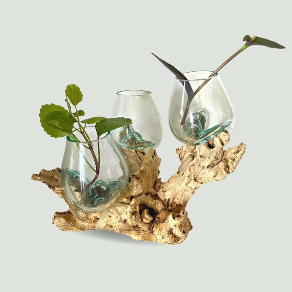 Hand Blown Glass Terrarium / Candle Holder over Carved Teak Bowl Hand Blown Glass Terrarium / Candle Holder over Carved Teak Bowl