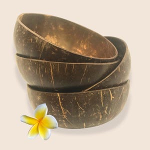 Coconut Shell Bowl , Handcrafted Organic Recycled Eco-Friendly Tableware, Perfect for Smoothie & Snack Serving