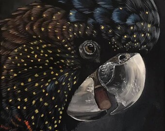 Nellie, black cockatoo art print