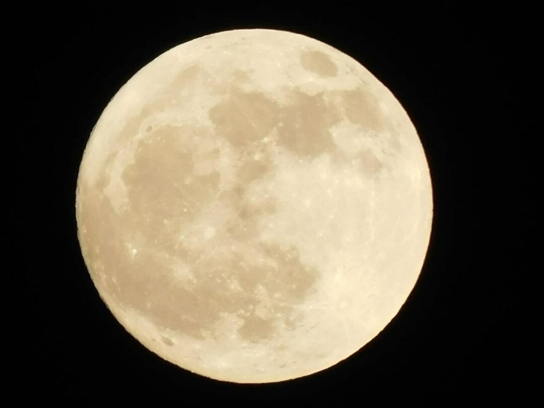 Flower Full Moon- 05-22-2024 - Etsy
