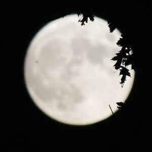Spooky Full Moon