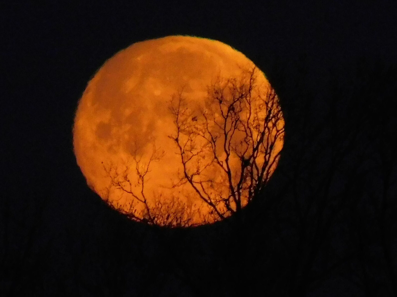 Full Harvest Moon 2023 - Etsy
