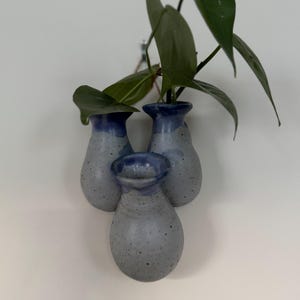 Könnte beinhalten: Drei kleine, hellblaue Keramikvasen mit gesprenkeltem Finish und blauem Überzug. Die Vasen sind in Dreiecksform angeordnet und hängen an einer weißen Wand. Eine grüne Pflanze wächst aus der oberen Vase.