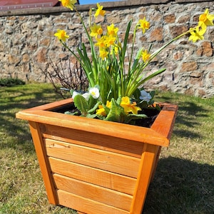 Pflanzkasten, Pflanzgefäß, Blumenkasten 4 eckig aus Holz Typ 1