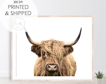 Highland Cow Art, Brown Cow, High Resolution, Scotland, Living Room Art, Boho Wall Art, Scottish Highlander - Poster, Metal or Canvas Print