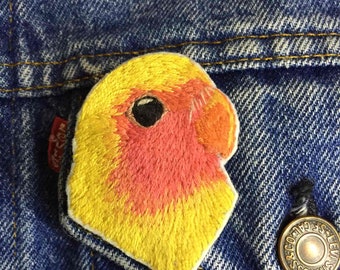 Brooch parrot