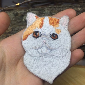 Brooch cat