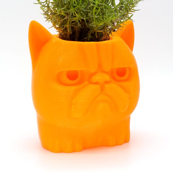 Grumpy Cat 3D Printed Planter  Funny Succulent Pot, Made in the USA