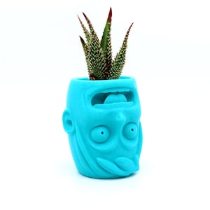 May include: A bright blue ceramic planter shaped like a face with a wide open mouth and large eyes. A small green succulent plant is growing inside the planter.