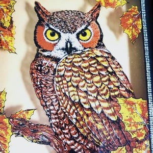 Vintage Glass Owl Painting: 70s Reverse Glass Shadow Box Wall Art