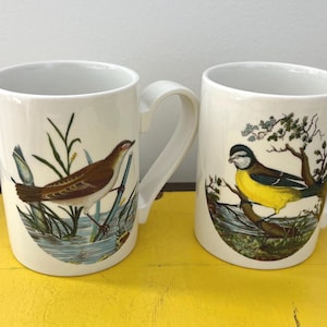 ポートメリオン【バーズ・オブ・ブリテン】　プレート5枚　バーズオブブリテン Portmeirion Bird Mugs - Etsy