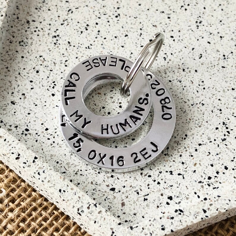 Op de afbeelding: Zilveren hondenpenning met de tekst "Call my humans. Please." en "2E J 0X 16 15" aan de voorkant.
